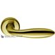 Дверная ручка на круглом основании COLOMBO Mach CD81RSB-OM матовое золото